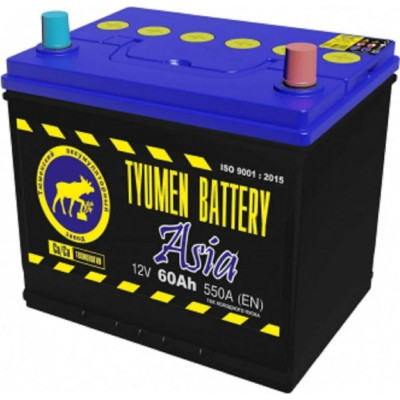 Аккумуляторная батарея TYUMEN BATTERY TNSa60.0