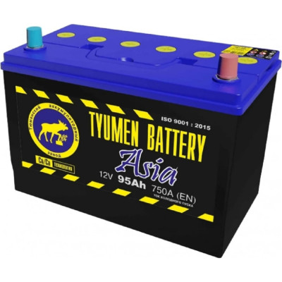 Аккумуляторная батарея TYUMEN BATTERY TNSa95.0