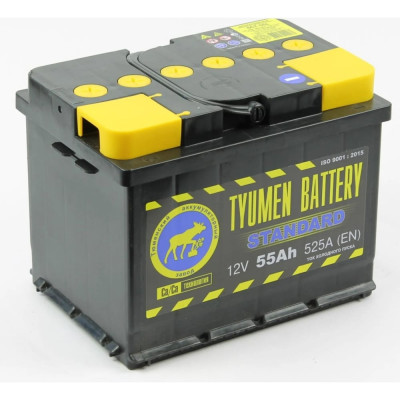 Аккумуляторная батарея TYUMEN BATTERY TNS55.1