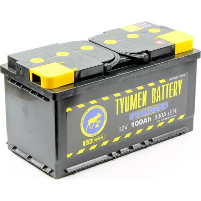 Аккумуляторная батарея TYUMEN BATTERY TNS100.0