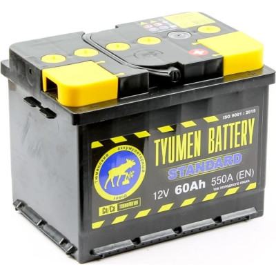 Аккумуляторная батарея TYUMEN BATTERY TNS60.0