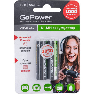 Бытовой аккумулятор GoPower HR6 00-00015318
