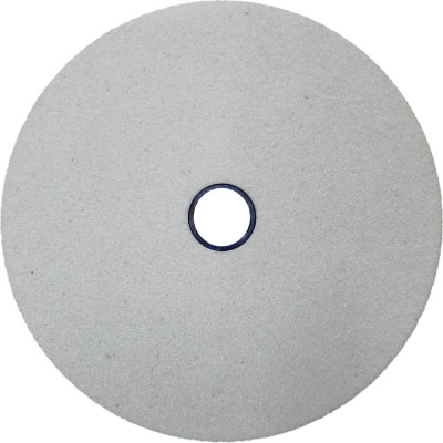 Шлифовальный круг для nm-250 AURA TOOLS 602503225