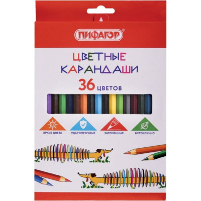 Цветные карандаши Пифагор Веселая такса 181809