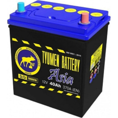 Аккумуляторная батарея TYUMEN BATTERY TNSa40.0