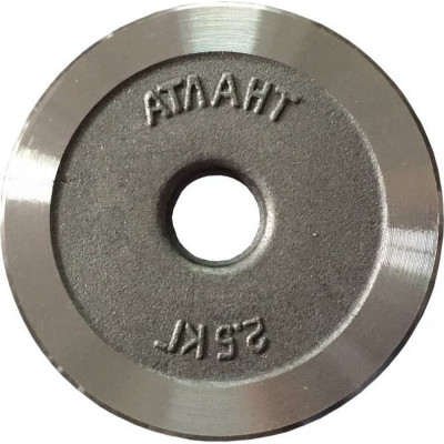 Металлический диск ИП Кокленков А.В. А06004