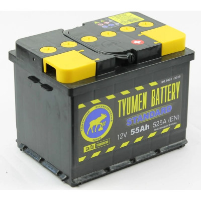 Аккумуляторная батарея TYUMEN BATTERY TNS55.0