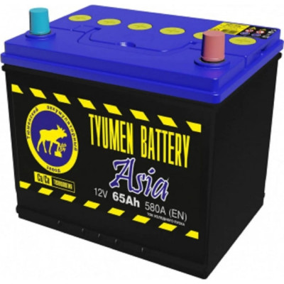 Аккумуляторная батарея TYUMEN BATTERY TNSa65.0