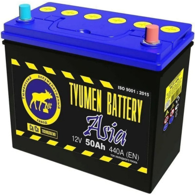 Аккумуляторная батарея TYUMEN BATTERY TNSa50.0