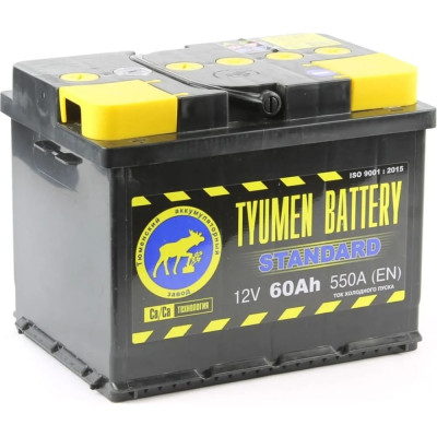 Аккумуляторная батарея TYUMEN BATTERY TNS60.1