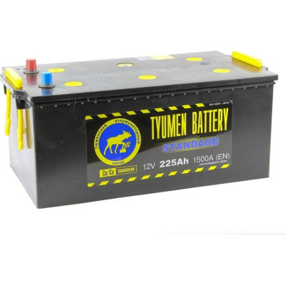 Аккумуляторная батарея TYUMEN BATTERY TNS225.3