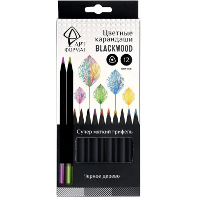 Набор цветных карандашей Артформат Blackwood AF03-051-12