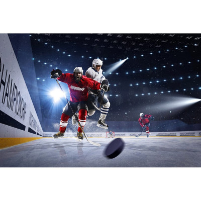 Фотообои Студия фотообоев Хоккей на льду 1409691