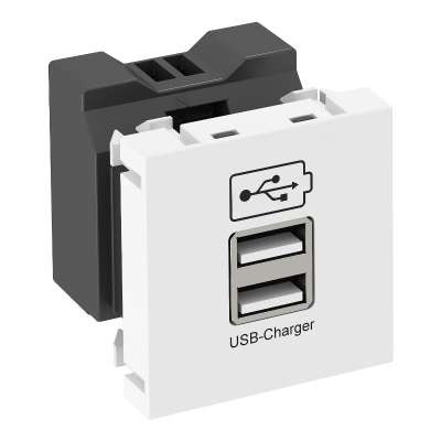 Зарядка-USB Modul 45 1.2А 45х45мм MTG-2UC1.2 RW1 бел. OBO 6105291