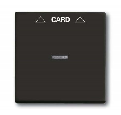 Плата центральная (накладка) для механизма карточного выкл. 2025 U Basic 55 chateau-black ABB 2CKA001710A3933