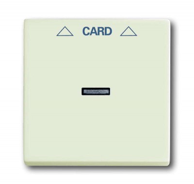 Плата центральная (накладка) для механизма карточного выкл. 2025 U solo/future chalet-white ABB 1710-0-3979