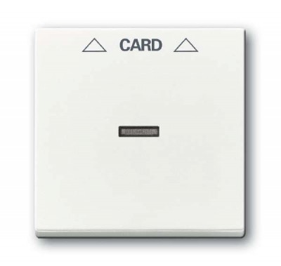 Плата центральная (накладка) для механизма карточного выкл. 2025 U Solo/Future davos/альп. бел. ABB 2CKA001710A3641