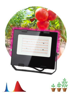 Прожектор светодиодный для растений FITO-50W-RB-LED 50Вт IP65 для цветения и плодоношения красно-синего спектра ЭРА Б0046368
